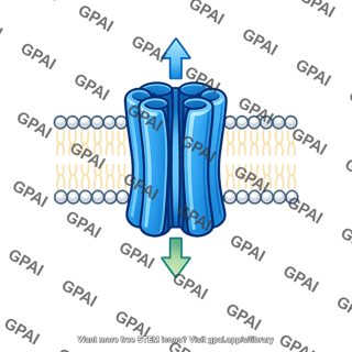 Membrane transport protein