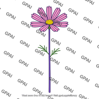Cosmos flower purple stem long petals