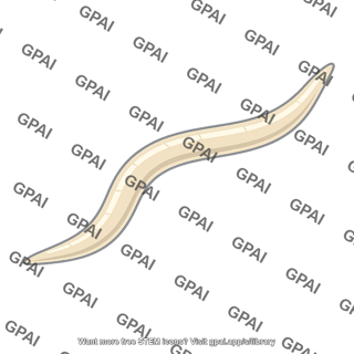 Parasite wormlike