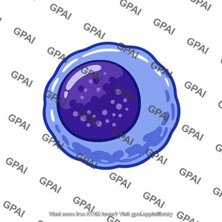 Multiple myeloma cell