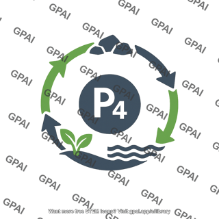 Phosphorus cycle