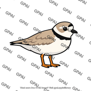 Piping plover
