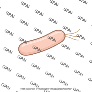 Rhizobium bacterium