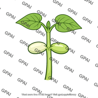 Common garden bean seedling
