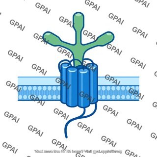 Receptor multispan