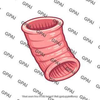 Pharynx ridged interior