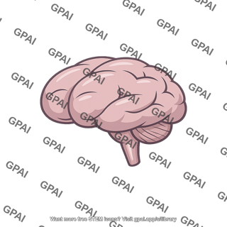 Human brain
