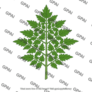 Tomato leaf supercompound