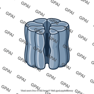 Membrane channel