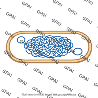 Bacterial cell with plasmid