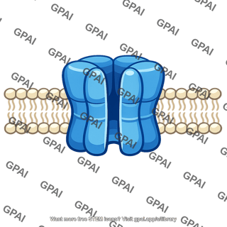 Ion channel