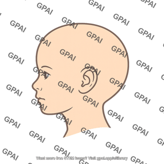 Child head
