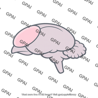 Canary forebrain