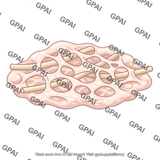Protein matrix