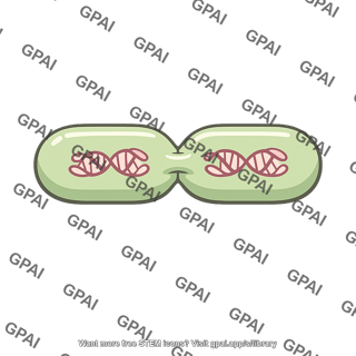 Binary fission cell
