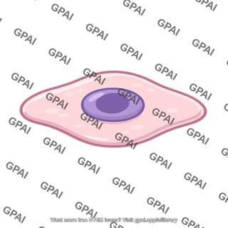 Human skin cell
