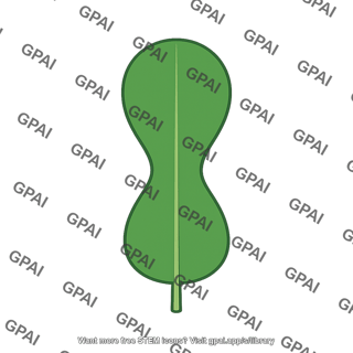 Fiddle shaped leaf