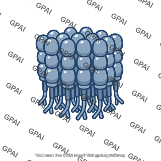 Fas receptor clustered