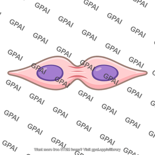 Fibroblast dividing