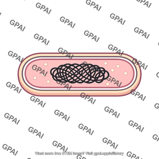 Escherichia coli cell