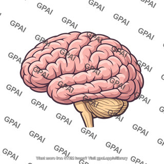 Brain modern human