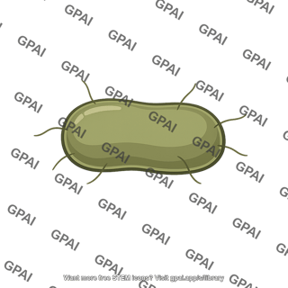 Methanogen archaeon