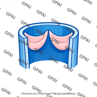 Venous valve