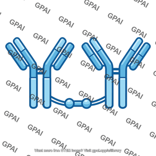 Immunoglobulin iga