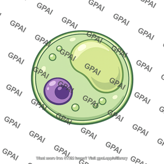 Plant protoplast