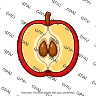 Apple cross section