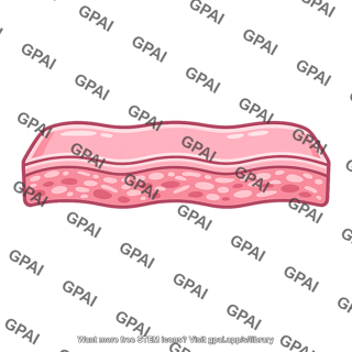 Mucosa