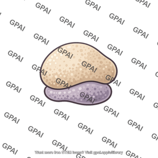 Ribosome free