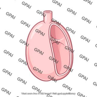Amphibian lung