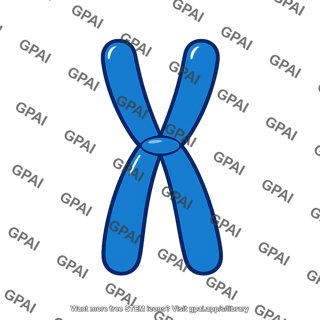 Chromosome parental