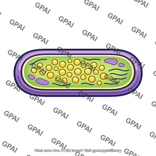 Sulfur bacterium rod