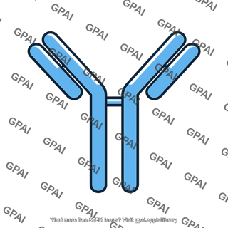 Antibody molecule