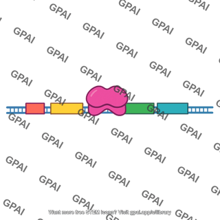 Trp operon inactive