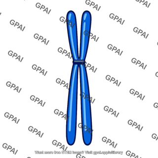 Chromosome long