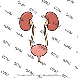 Excretory system
