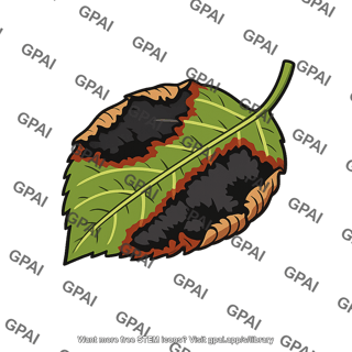 Leaf burned