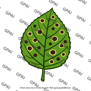 Leaf spotted