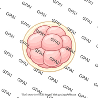 Embryo cleaving