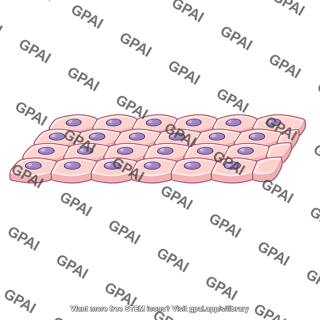 Cell sheet