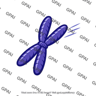 Chromosome poleward moving