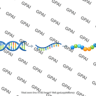 Gene expression mutation