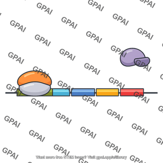 Inducible operon