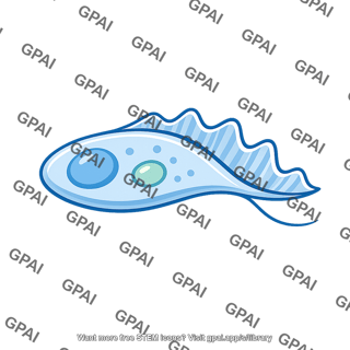Protist cell