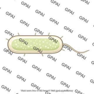 Bacterium ethanol producing