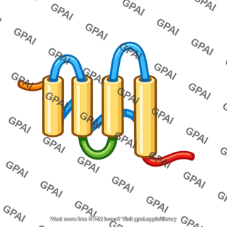 Transmembrane protein