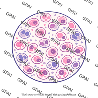 Light micrograph